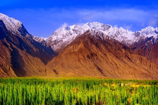 Hermoso valle y montañas que rodean Skardu en Gilgit - Región de jalá od Pakistán — Foto de Stock
