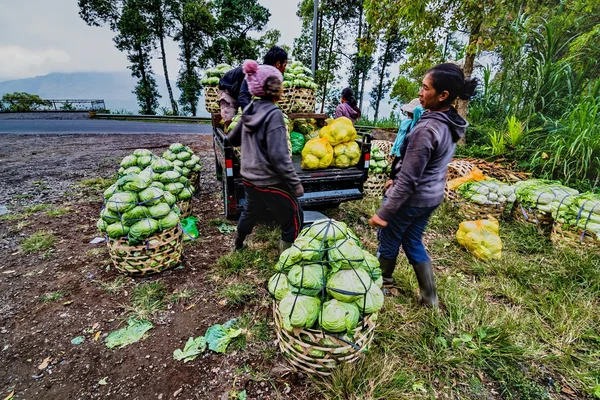 Ubud, Bali, Indonesië - 13 augustus: Een niet-geïdentificeerde Balinese boeren poses tijdens het werk een ochtend in de buurt van Ubud, Bali, Indonesië, op 13 augustus 2016 — Stockfoto