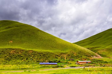Daocheng, Chaina yayla yolu