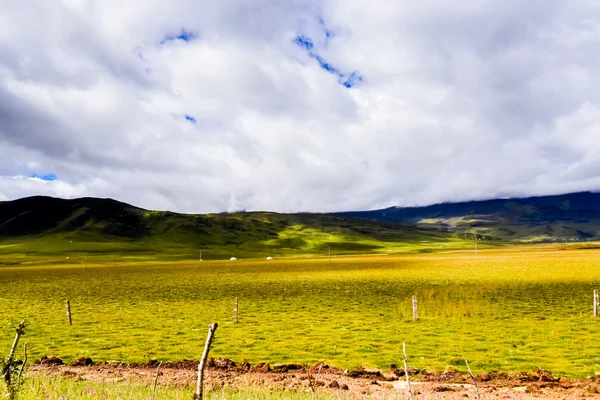 Highland weg naar Daocheng, Chaina — Stockfoto