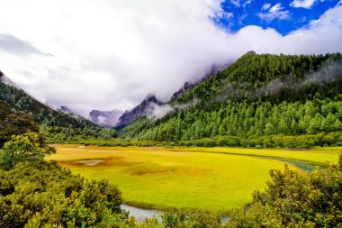 beautiful Lake in Yading national level reserve, Daocheng, Sichuan Province, China. clipart