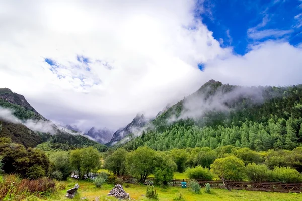 Yading doğa Rezervatı ' Daocheng County, Sichuan, Çin