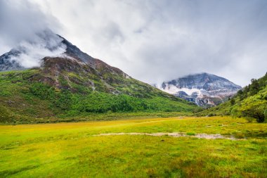 Yading ulusal seviye rezerv Chongu mera sonbahar Manzara, Daocheng, Sichuan Eyaleti, Çin.