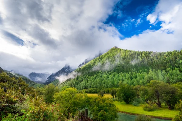 Reserva natural de Yading, Condado de Daocheng, Sichuan, China — Fotografia de Stock