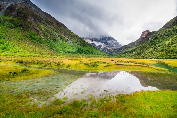 Paisagem de outono em Chongu pasto em Yading reserva de nível nacional, Daocheng, Província de Sichuan, China . — Fotografia de Stock