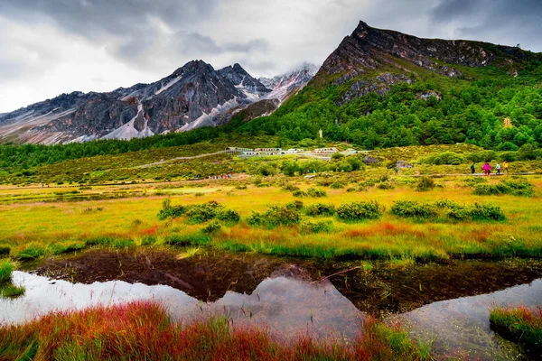 Yading ulusal seviye rezerv Chongu mera sonbahar Manzara, Daocheng, Sichuan Eyaleti, Çin.