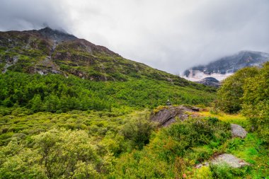 Yading doğa Rezervatı ' Daocheng County, Sichuan, Çin