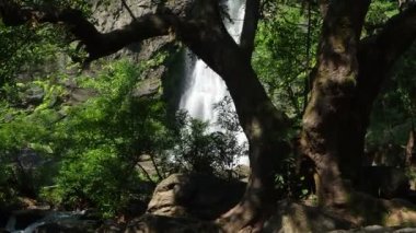 Kamphaeng Phet vilayetindeki Khlong Lan şelalesinin akan sularıyla birlikte derin tropikal yağmur ormanlarında. Khlong Lan Ulusal Parkı, Tayland