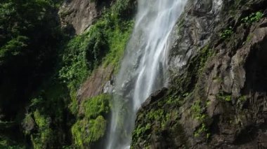 Kamphaeng Phet vilayetindeki Khlong Lan şelalesinin akan sularıyla birlikte derin tropikal yağmur ormanlarında. Khlong Lan Ulusal Parkı, Tayland