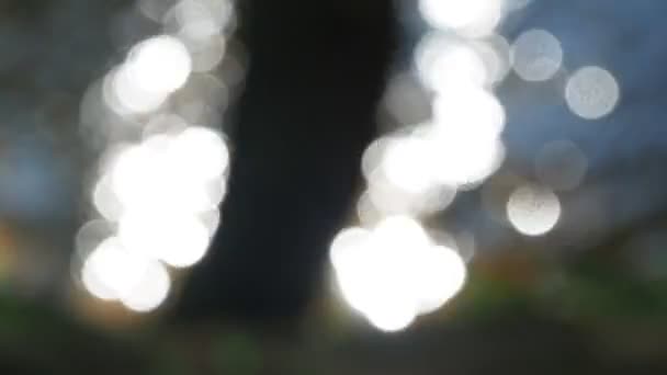 Soft Focus Bokeh Effetti Luce Uno Sfondo Acqua Con Brillamento — Video Stock