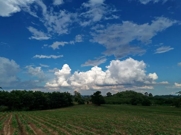 Égbolt Fehér Esős Felhőkkel Zöld Tanyán Közeli Kilátás Felhő — Stock Fotó