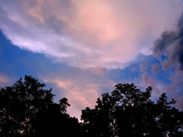 Céu Escuro Por Sol Com Nuvens Alinhadas Sobre Árvores Escuras — Fotografia de Stock