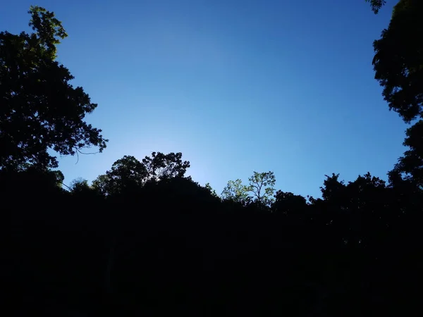 Темне Небо Заходу Сонця Вирівняними Хмарами Над Темними Деревами — стокове фото