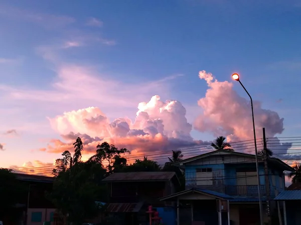 Céu Escuro Por Sol Com Nuvens Alinhadas Sobre Árvores Escuras — Fotografia de Stock