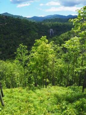 Vadideki yüksek açılı şelale manzarası