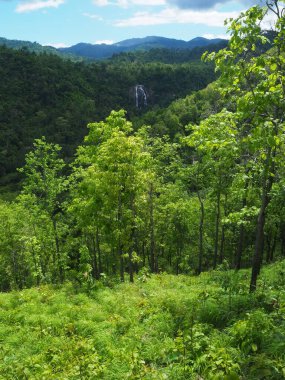 Vadideki yüksek açılı şelale manzarası