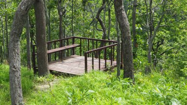 Ormanda açık teras