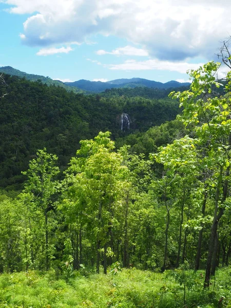 Vadideki yüksek açılı şelale manzarası