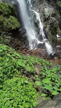 Kamphaeng Phet vilayetindeki Khlong Lan şelalesinin akan sularıyla derin tropikal yağmur ormanlarında orman manzarası. Khlong Lan Ulusal Parkı, Tayland