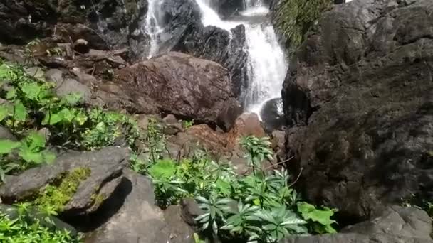 Jungle Landschap Met Stromend Water Van Khlong Lan Waterval Kamphaeng — Stockvideo