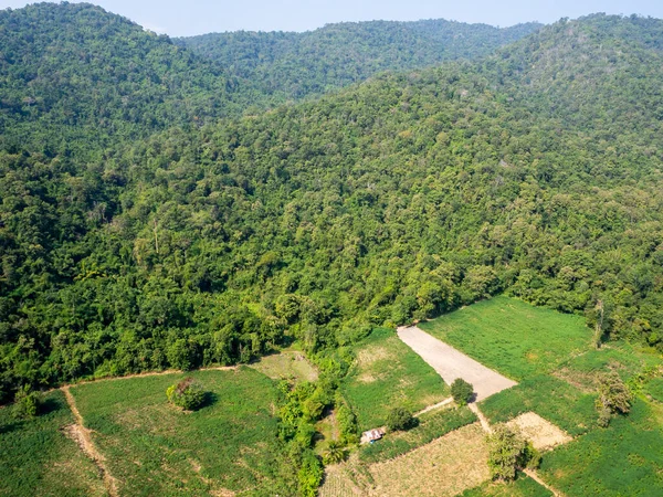 forest destruction with rainbow in thailand form Aerial view