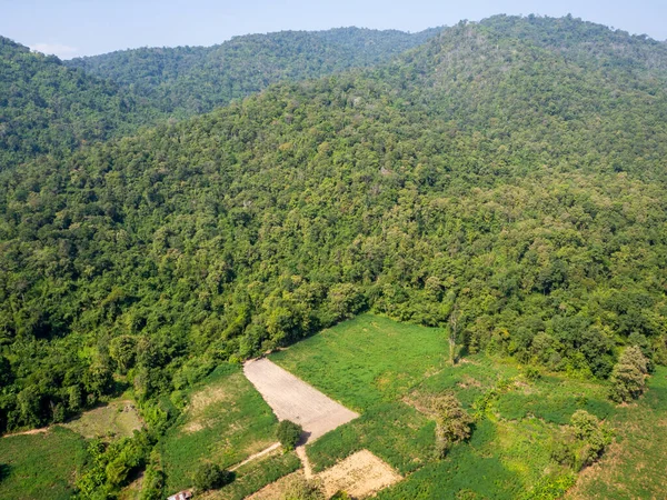 Forest Destruction Rainbow Thailand Form Aerial View — Stock Photo, Image