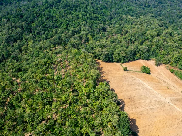 Bosque Destrucción Con Arco Iris Tailandia Forma Vista Aérea — Foto de Stock