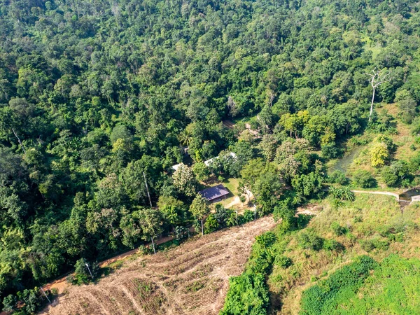 Уничтожение Лесов Радугой Таиланде — стоковое фото