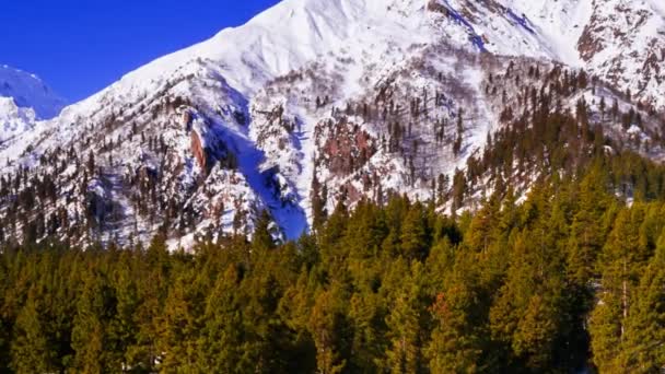 Nanga Parbat Widok Góry Lodowiec Doliny Fairy Łąki Piękny Zimowy — Wideo stockowe