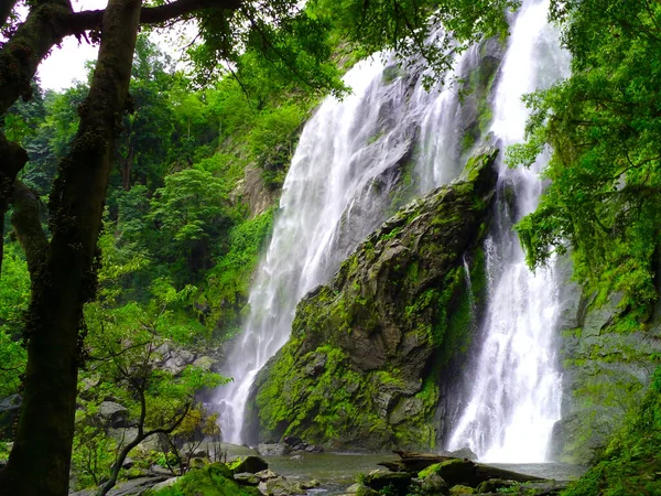 热带雨林的瀑布 — 图库照片