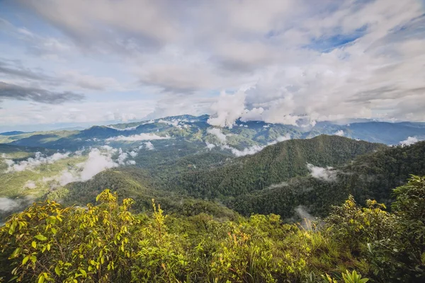 Mattina nebbia a catena montuosa tropicale — Foto Stock