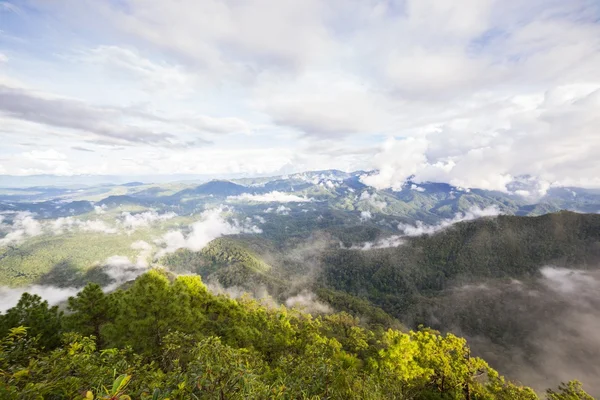 Mattina nebbia a catena montuosa tropicale — Foto Stock