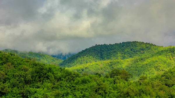 Sabah sis, tropikal dağ silsilesi — Stok fotoğraf