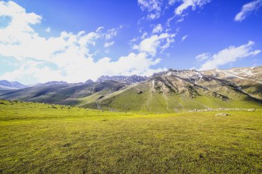 yeşil tepeler ve mavi gökyüzü