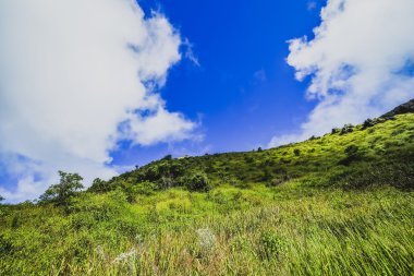 Mavi gökyüzü ile yeşil alan