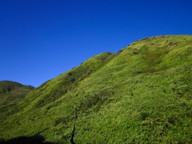 yeşil tepeler ve mavi gökyüzü