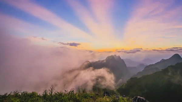 Утренний туман на Тропическом хребте — стоковое фото