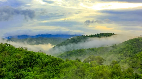 Morning Mist at Tropical Mountain Range — Stock Photo, Image