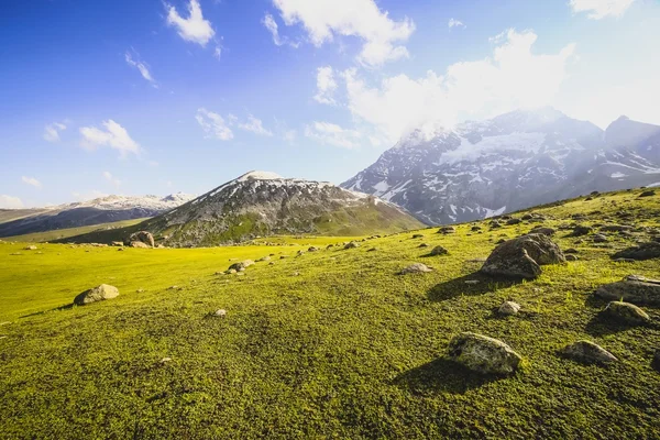 Zelené kopce a modrá obloha — Stock fotografie