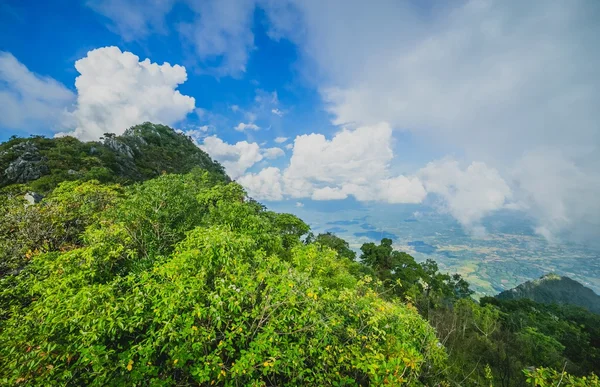 Montagna con nebbia — Foto Stock