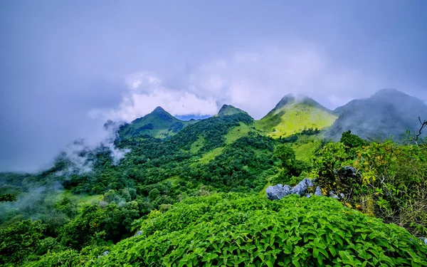 Montagna con nebbia — Foto Stock