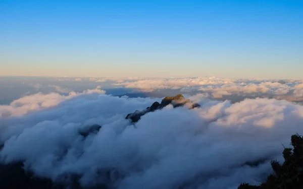 晨雾在热带山脉 — 图库照片