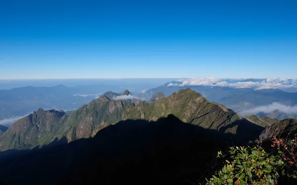 열 대 산 범위에서 아침 안개 — 스톡 사진