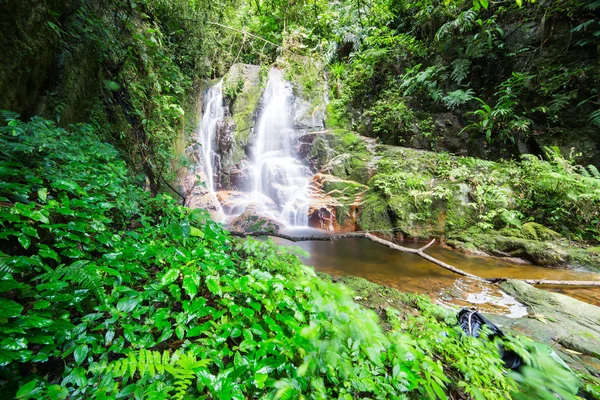 Wasserfall im Regenwald — Stockfoto