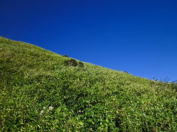 Zelené kopce a modrá obloha — Stock fotografie