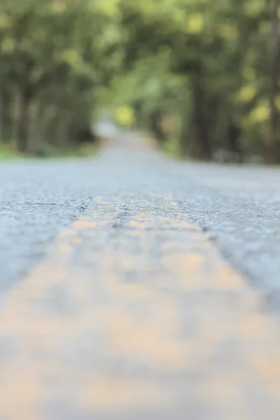 Strada nella foresta — Foto Stock