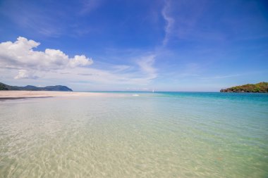 plaj ve tropikal deniz