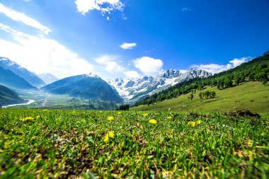 Dağlar ve yeşil alan içinde Jammu ve Keşmir