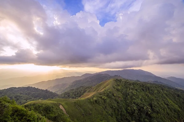 Paesaggio estivo in montagna — Foto Stock