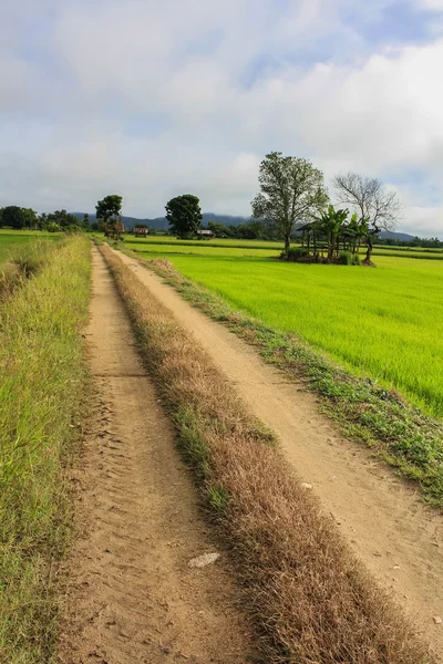 Dirt road — Stock Photo, Image